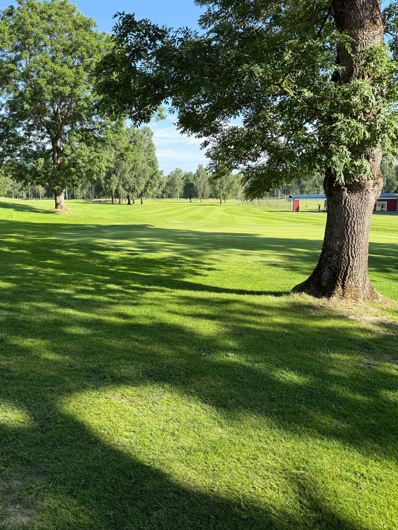 Sommarmorgon på Avesta Golfklubb